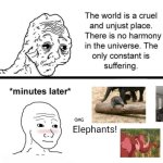 Another Elephant Meme | Elephants! | image tagged in the world is a cruel and unjust place,elephant,elephants,dumbo | made w/ Imgflip meme maker