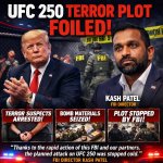 UFC 250 TERROR PLOT
