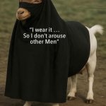 Funny meme
