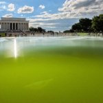 The Reflecting Pool June 2026