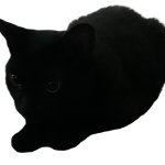 No background Kitty :3 meme