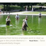 MAGA Reflecting pool algae cleanup