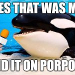Orca talking into a microphone | yes that was me; i did it on porpoise | image tagged in orca talking into a microphone | made w/ Imgflip meme maker