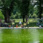 The Reflecting Pool is Trump Green. $14 million lost -algae meme