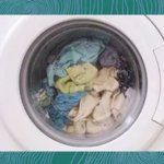 Forgotten socks