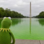 Kermit Reflecting Pool meme