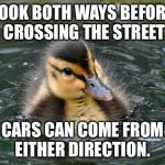 Almost Advice Mallard | LOOK BOTH WAYS BEFORE CROSSING THE STREET CARS CAN COME FROM EITHER DIRECTION. | image tagged in almost advice mallard | made w/ Imgflip meme maker
