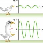 Goofy ahh physics diagram meme