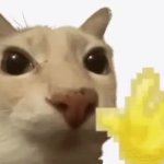 Hi Chris Waving Cat GIF Template