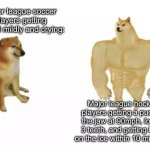 NHL players js built different | Major league soccer players getting tripped mildly and crying:; Major league hockey players getting a puck to the jaw at 90mph, losing 3 teeth, and getting back on the ice within 10 minutes: | image tagged in buff doge vs cheems reversed,soccer,hockey,world cup,nhl,funny | made w/ Imgflip meme maker