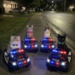 Grand Theft Auto cats meme