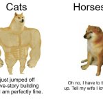 Horses got nerfed way too hard SMH | Cats; Horses; I just jumped off a five-story building and I am perfectly fine. Oh no, I have to throw up. Tell my wife I love her. | image tagged in memes,buff doge vs cheems,cats,horses | made w/ Imgflip meme maker