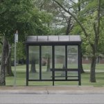 Bus Stop