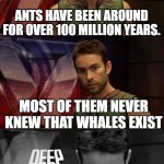 Deep Thoughts About Ants and Whales | ants have been around for over 100 million years. most of them never knew that whales exist | image tagged in deep thoughts with the deep | made w/ Imgflip meme maker