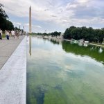 algae pool