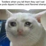 crying cat | Toddlers when you tell them they can’t eat tide pods dipped in battery acid flavored shampoo | image tagged in crying cat,memes,cats,funny,dogs,crying | made w/ Imgflip meme maker