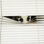 milady peeking