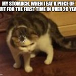 Does Not Compute | My stomach, when I eat a piece of fruit for the first time in over 20 years | image tagged in loading cat,eating,memes | made w/ Imgflip meme maker