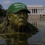 Trump, Vandal-in-Chief at the Reflecting Pool meme