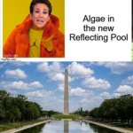 Madcow Reflecting Pool meme