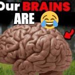 Idk | are | image tagged in meme | made w/ Imgflip meme maker