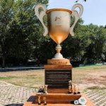 Participation Trophy meme