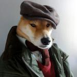 Professor Doge