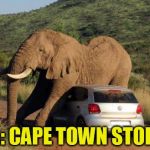 Slow Times at Rockstar Games | GTA: CAPE TOWN STORIES | image tagged in elephant on volkswagen,grand theft auto,elephant,volkswagon | made w/ Imgflip meme maker