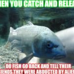 fishman | WHEN YOU CATCH AND RELEASE DO FISH GO BACK AND TELL THEIR FRIENDS THEY WERE ABDUCTED BY ALIENS? | image tagged in fishman | made w/ Imgflip meme maker