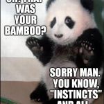opinion bear | OH! THAT WAS YOUR BAMBOO? SORRY MAN. YOU KNOW, "INSTINCTS" AND ALL... | image tagged in opinion bear | made w/ Imgflip meme maker