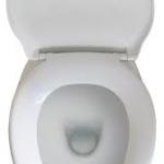 Pee On Toilet Seats