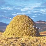 Needle in a Haystack