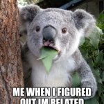 Surprised Koala Meme | me when I figured out im related to my discord bestie | image tagged in memes,surprised koala,family,funny,discord | made w/ Imgflip meme maker