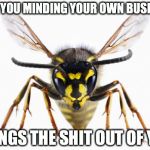 Scumbag Wasp | SEES YOU MINDING YOUR OWN BUSINESS STINGS THE SHIT OUT OF YOU | image tagged in scumbag wasp | made w/ Imgflip meme maker