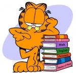 Garfield knows