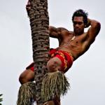 TREE CLIMBER WARREN RODWELL