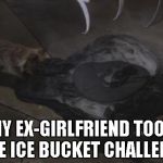 The witch is dead | MY EX-GIRLFRIEND TOOK THE ICE BUCKET CHALLENGE | image tagged in the witch is dead | made w/ Imgflip meme maker