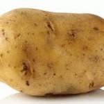 potato