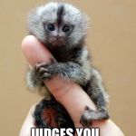 Tiny Monkey. | TINY MONKEY  JUDGES YOU. | image tagged in tiny monkey | made w/ Imgflip meme maker