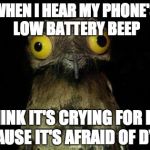 Crazy eyed bird | WHEN I HEAR MY PHONE'S LOW BATTERY BEEP I THINK IT'S CRYING FOR FUEL BECAUSE IT'S AFRAID OF DYING. | image tagged in crazy eyed bird | made w/ Imgflip meme maker