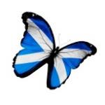 Scotland butterfly  meme