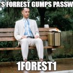Forrest Gump | WHATS FORREST GUMPS PASSWORD? 1FOREST1 | image tagged in forrest gump | made w/ Imgflip meme maker