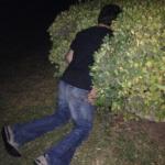 Bruh in a bush