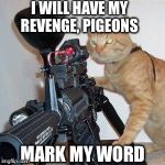 cat with gun | I WILL HAVE MY REVENGE, PIGEONS MARK MY WORD | image tagged in cat with gun | made w/ Imgflip meme maker