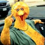 Big Bird