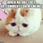 sad thumbs up cat Meme Generator - Piñata Farms - The best meme generator  and meme maker for video & image memes
