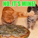 gatos tomate loco pizza | NO. IT'S MINE! | image tagged in gatos tomate loco pizza | made w/ Imgflip meme maker