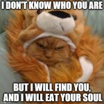 Ginger Cat will find your soul and eat it. | I DON'T KNOW WHO YOU ARE BUT I WILL FIND YOU, AND I WILL EAT YOUR SOUL | image tagged in eat your soul,ginger cat,pissed off kitty,ginger cat eats soul | made w/ Imgflip meme maker