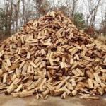 Firewood