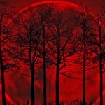 October 8 2014 blood moon 